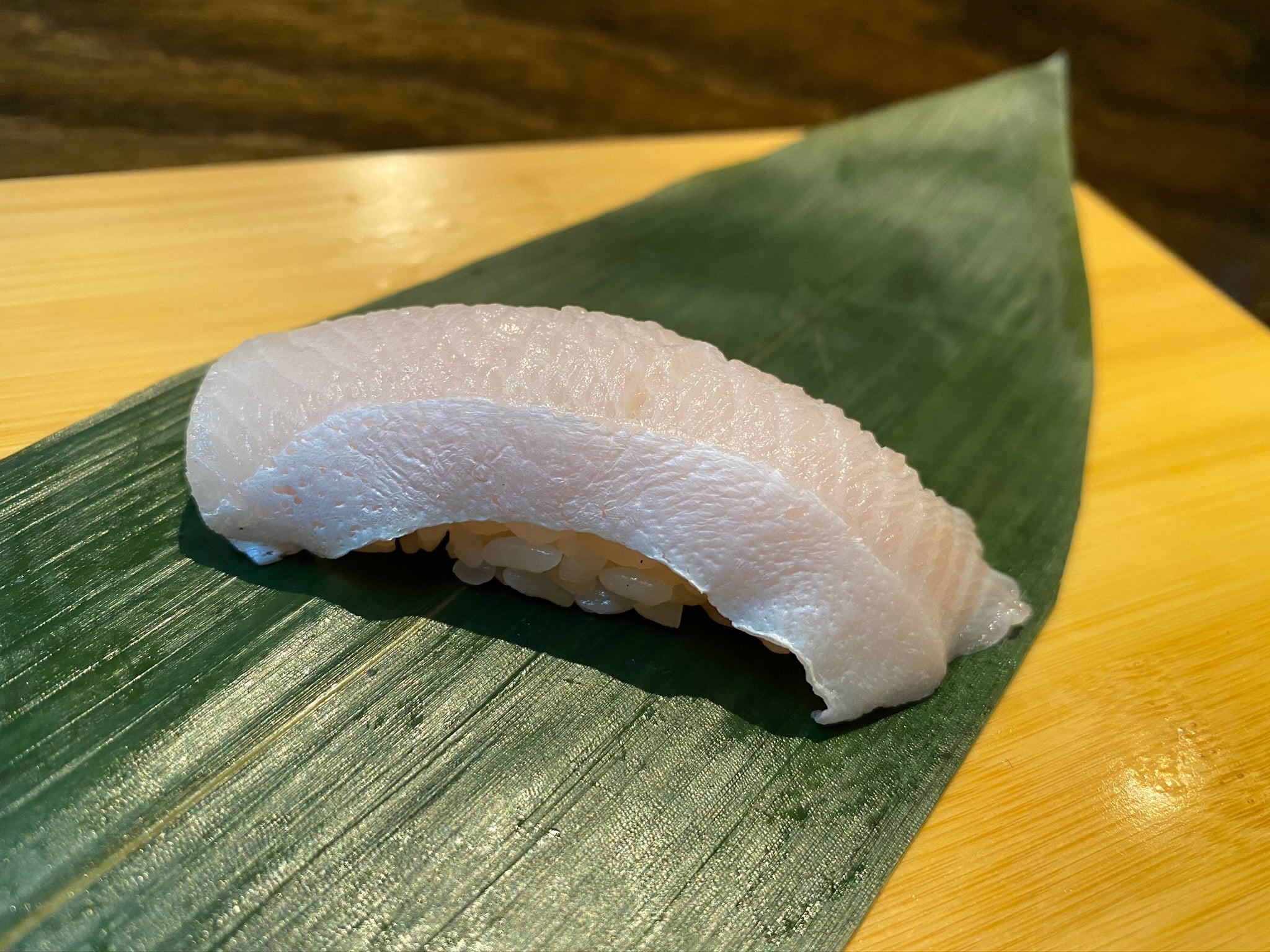 Yellowtail Toro, image size:2048x1536