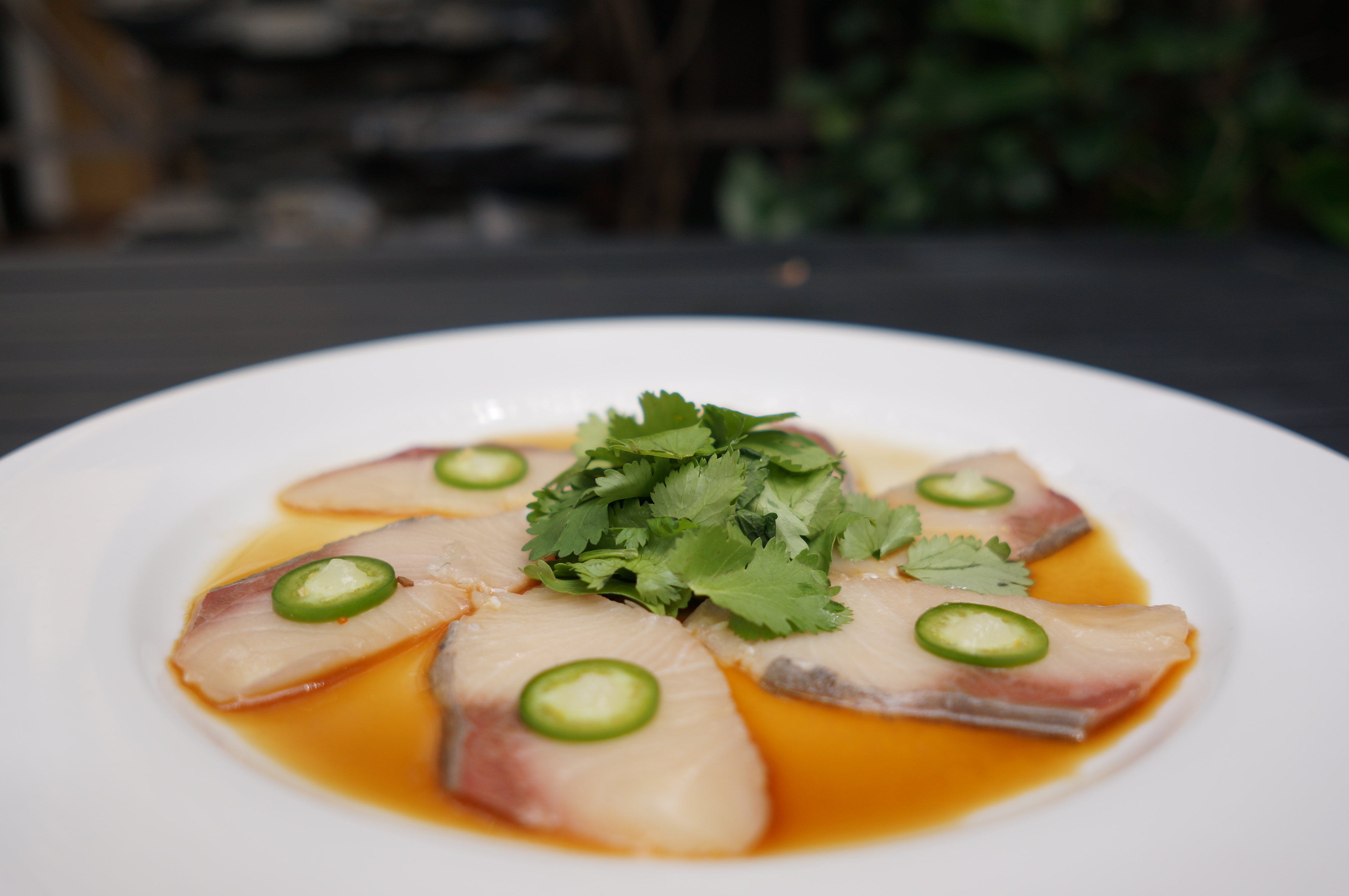 Yellowtail Jalapeno | Jin Sho Restaurant